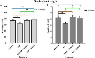 Biochemical Changes in Two Barley Genotypes Inoculated With a Beneficial Fungus Trichoderma harzianum Rifai T-22 Grown in Saline Soil